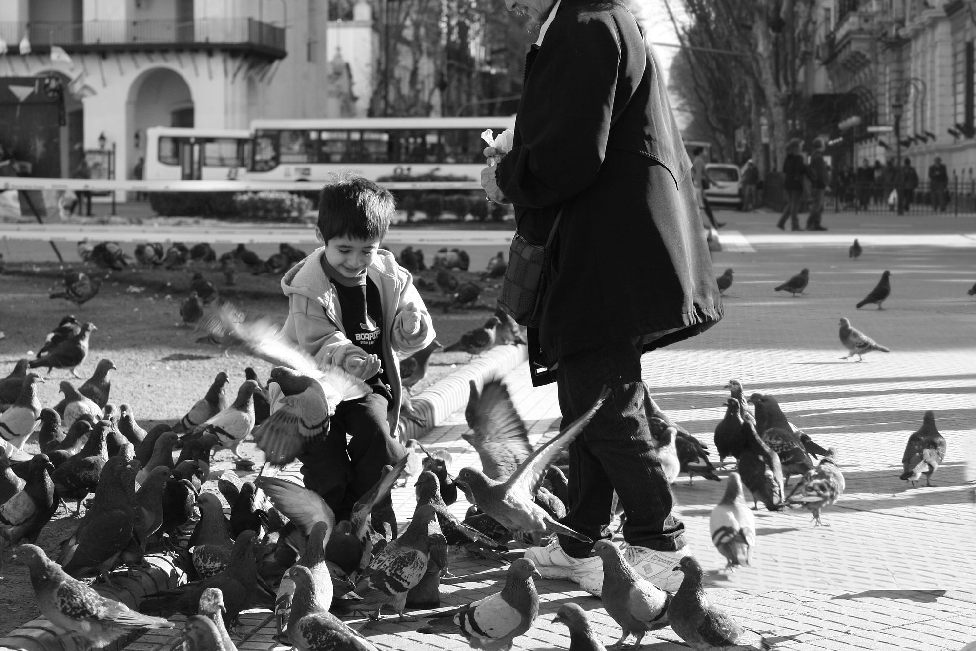 Pigeon feeding at the Plaza de Mayo