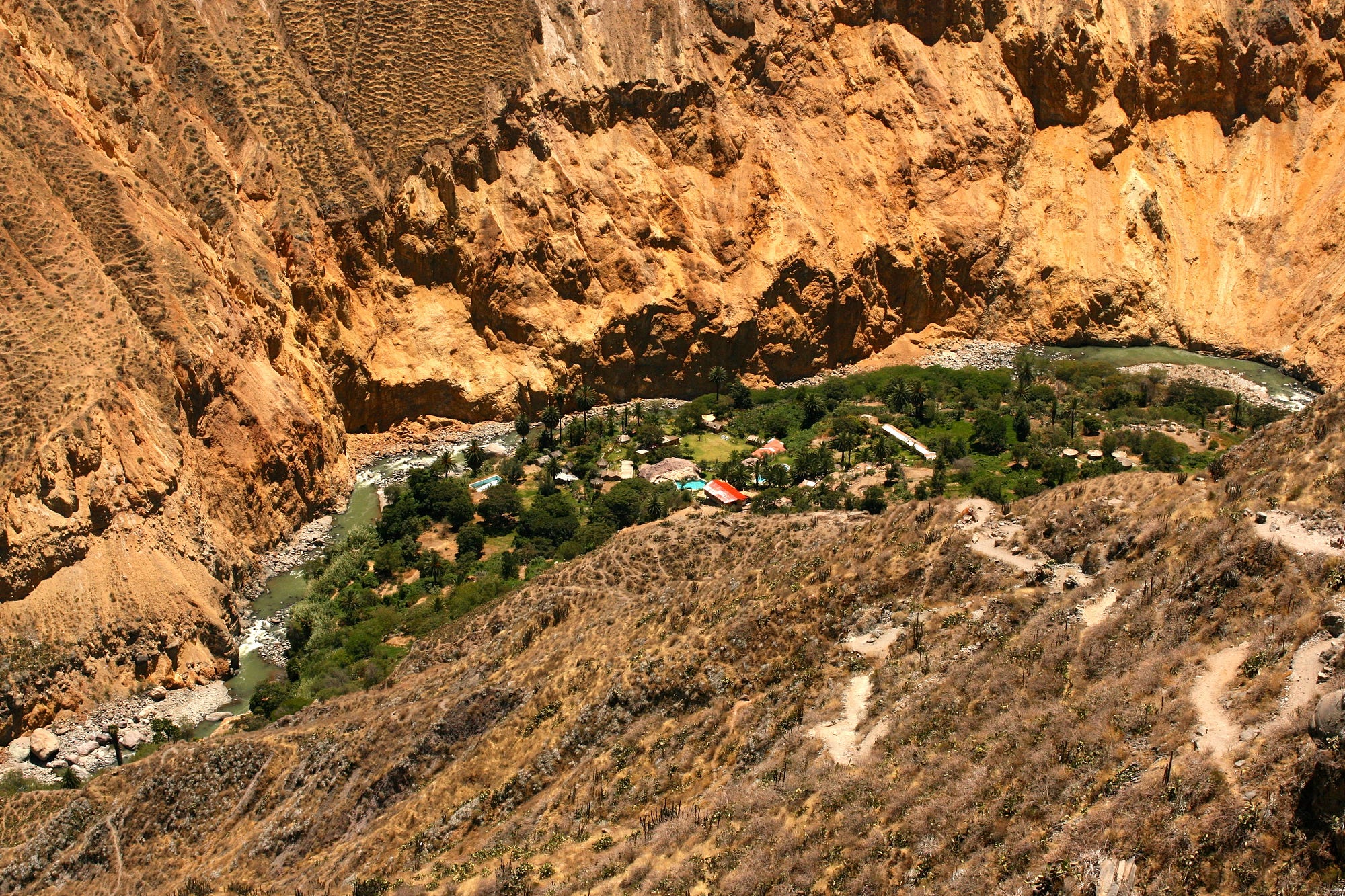The oasis that awaits us