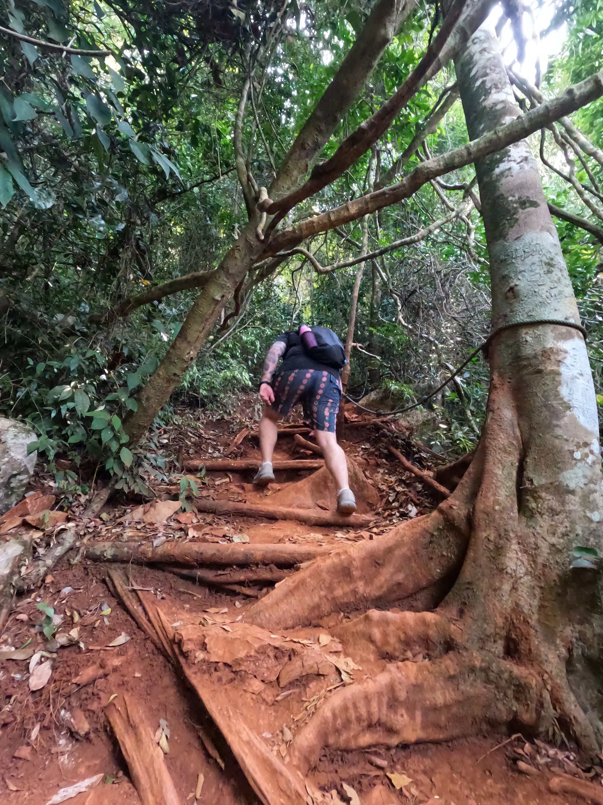 We took on a more challenging hike than we’re used to (ask anyone — we’re not hikers) to see the valley that Nong Khiaw sits in