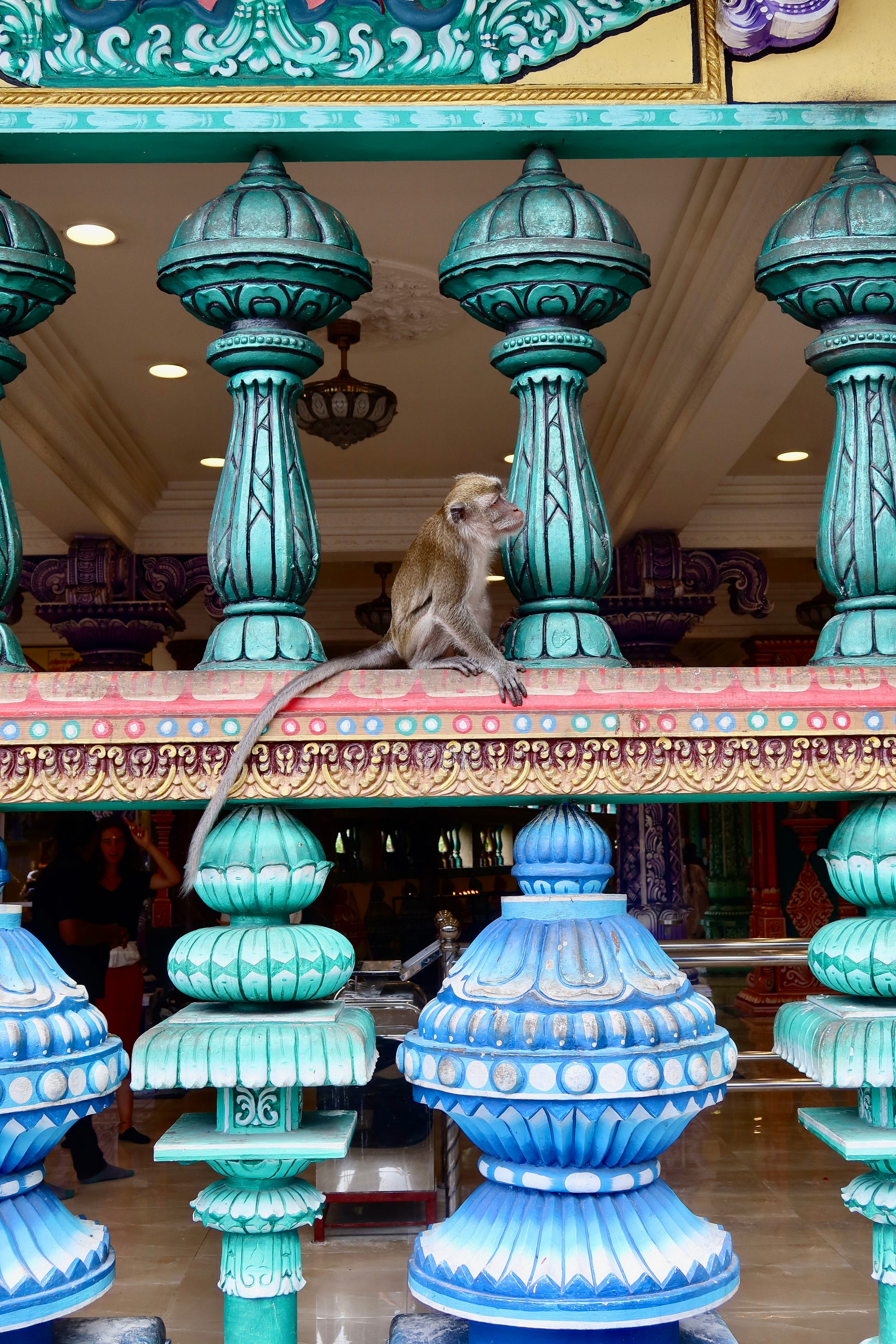 The monkeys were devious little things and numbered in the hundreds easily.