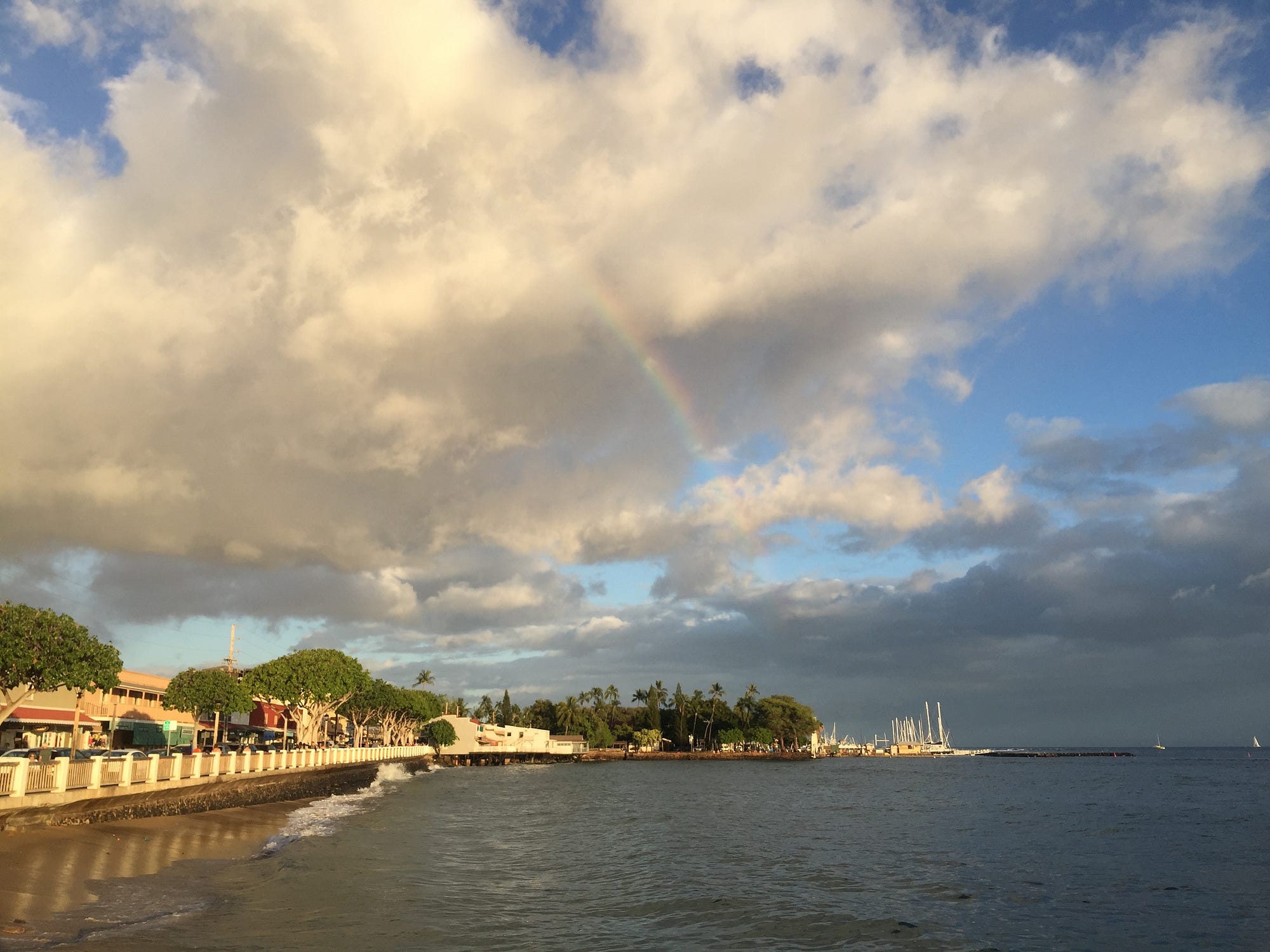 Looking out from Lahaina warf
