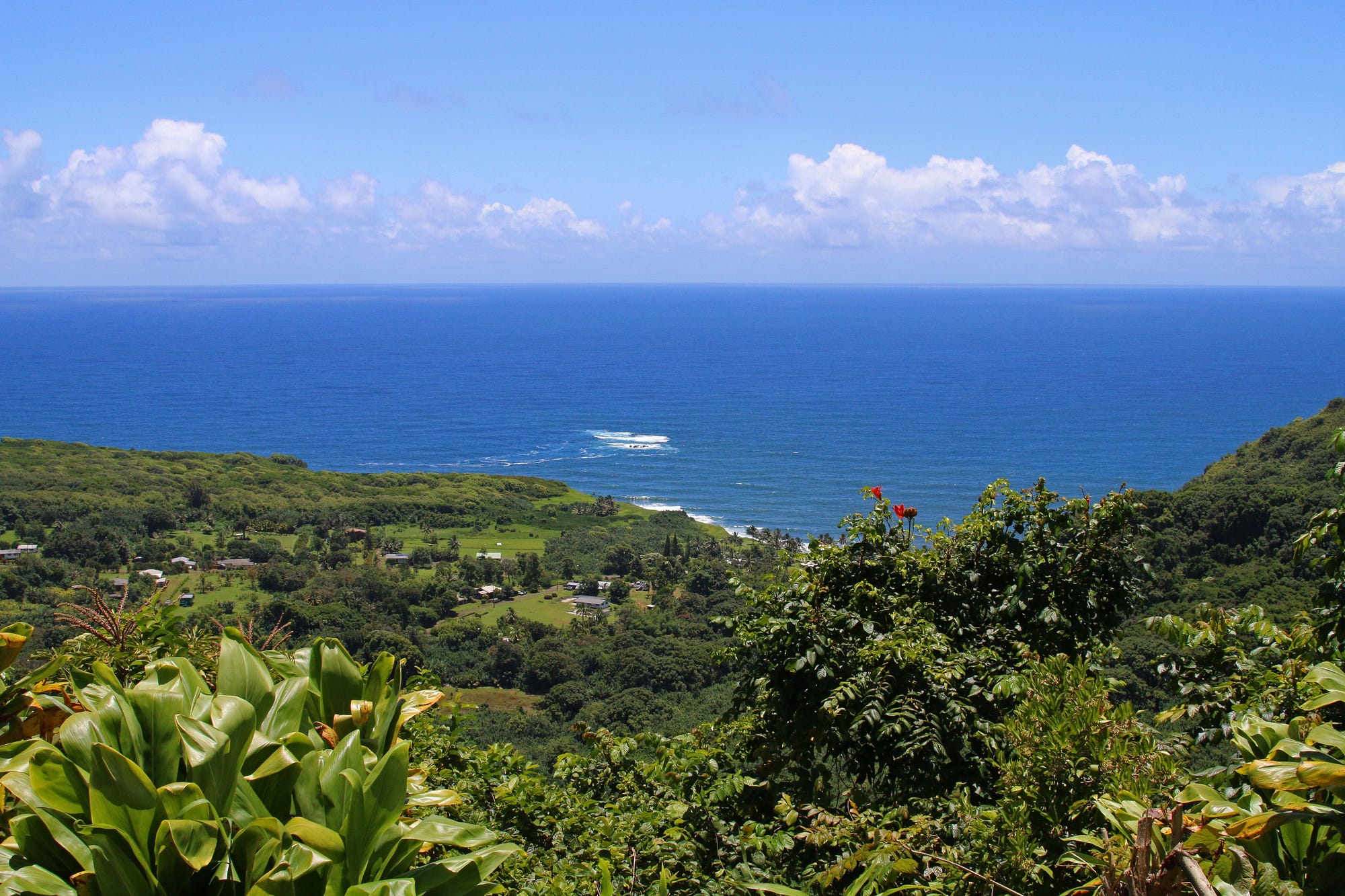 Stop D: Wailua Valley State Wayside at Mile Marker #18