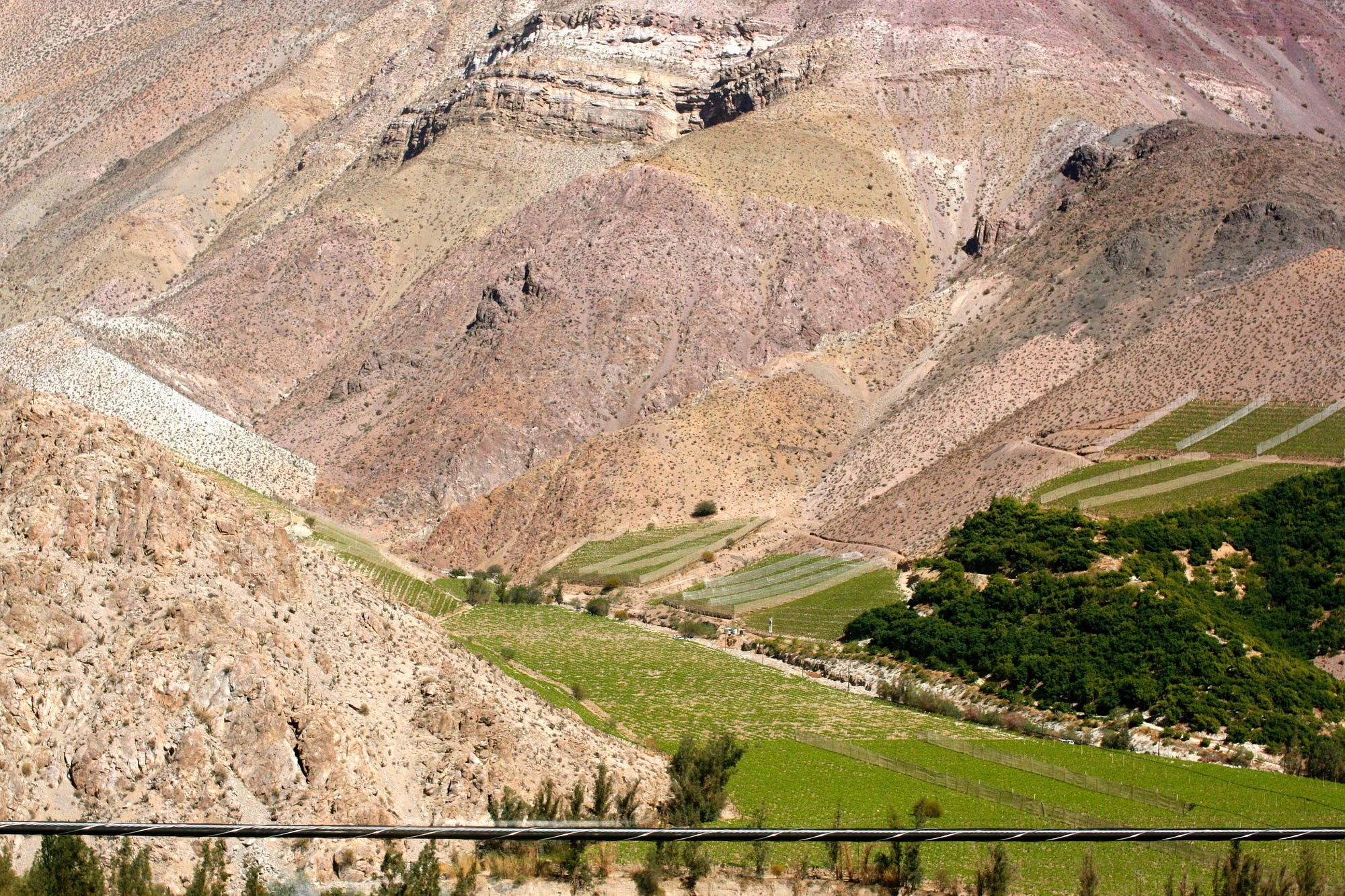 Acres upon acres of lush green grape vines fill the valley
