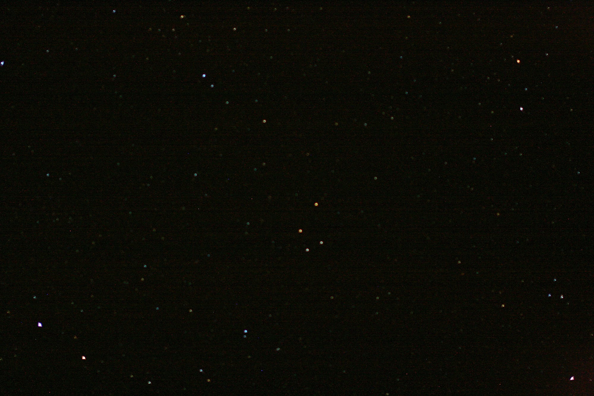 The Southern Cross constellation which twinkled so brightly reminded us of home