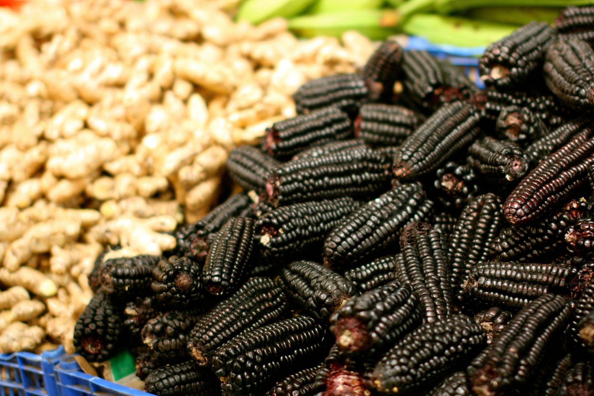 Purple corn — used to make sweet drinks like Chicha Morada