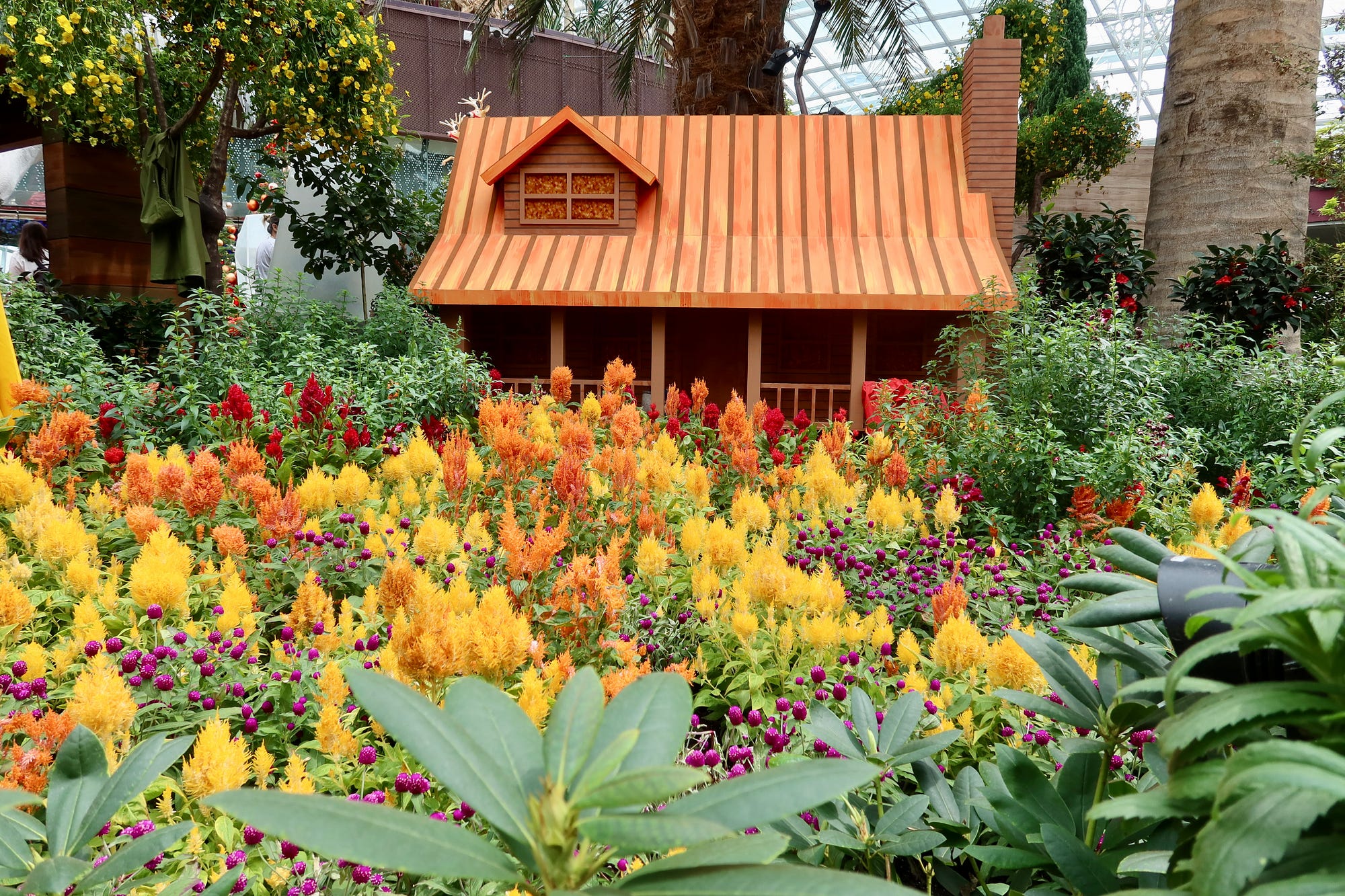 This house was barely 6ft tall! Basically a playhouse (or cubby house) in the middle of a giant flower display at the impressively named Flower Dome