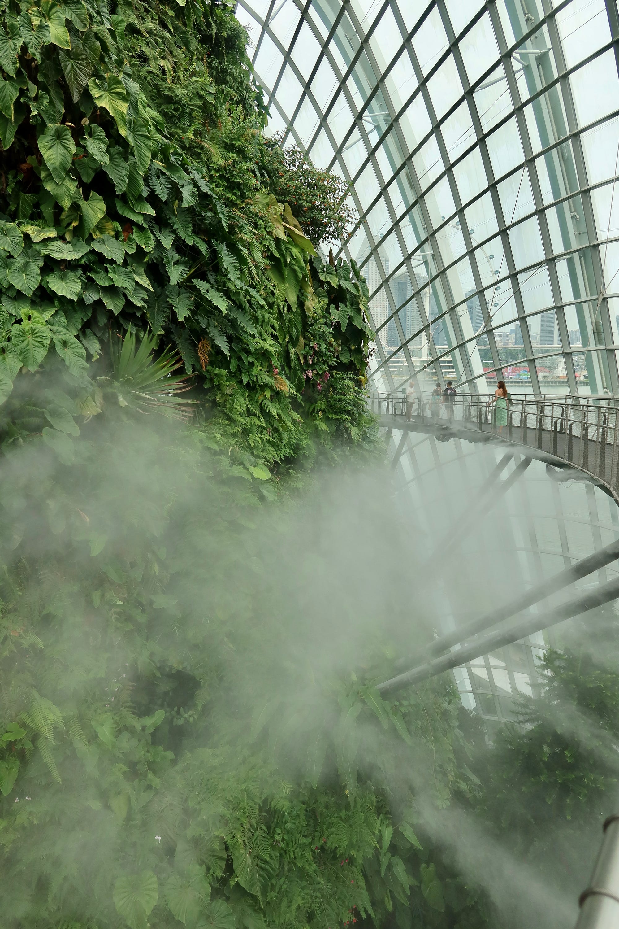 Wandering around the Cloud Forest at great heights was strange and exhilarating. It’s like an entire ecosystem within a dome.