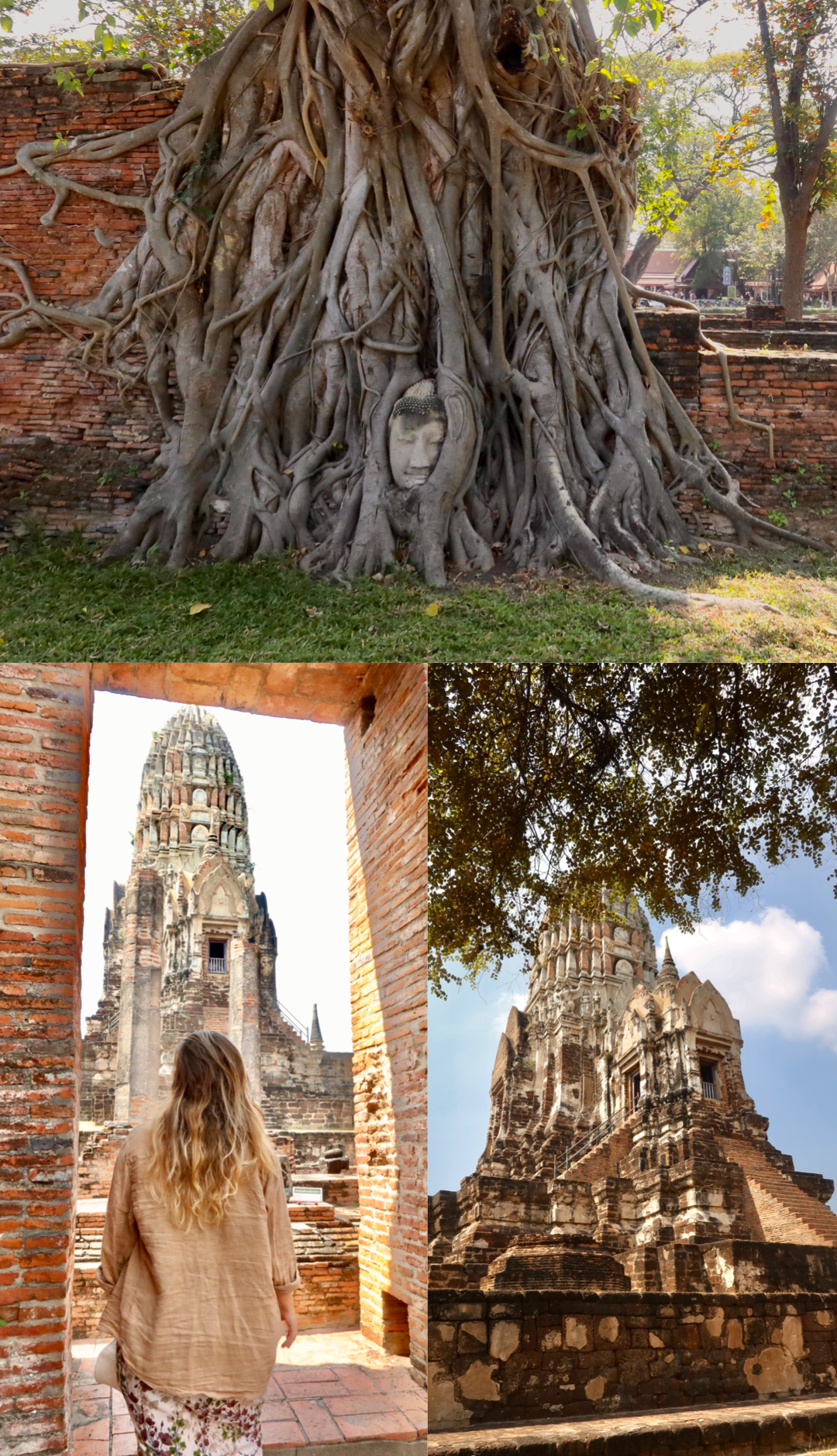 After Carissa did some research we took a day trip to Ayutthaya just north of Bangkok