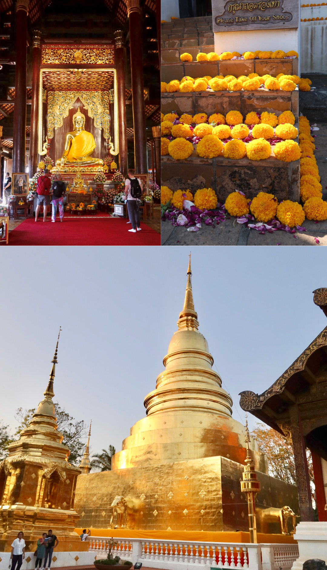 The complex for Wat Phra Singh has some magnificent gold monuments and statues. Each building has been designed in a traditional “lanna” style (somewhat typical of northern Thailand).