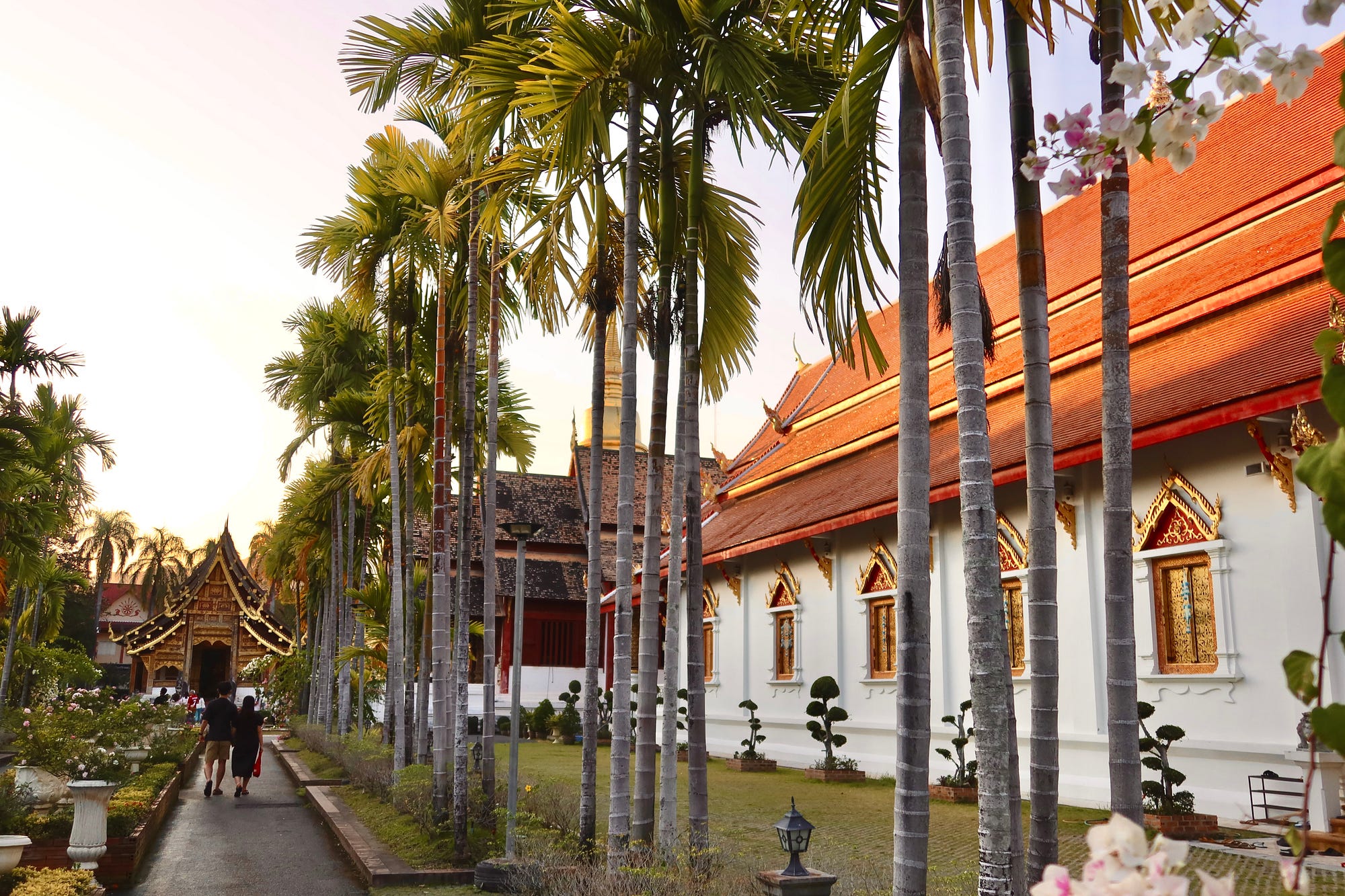 The sunset sent beams of light streaming through the palm trees onto the beautiful roofs and facades of the temples
