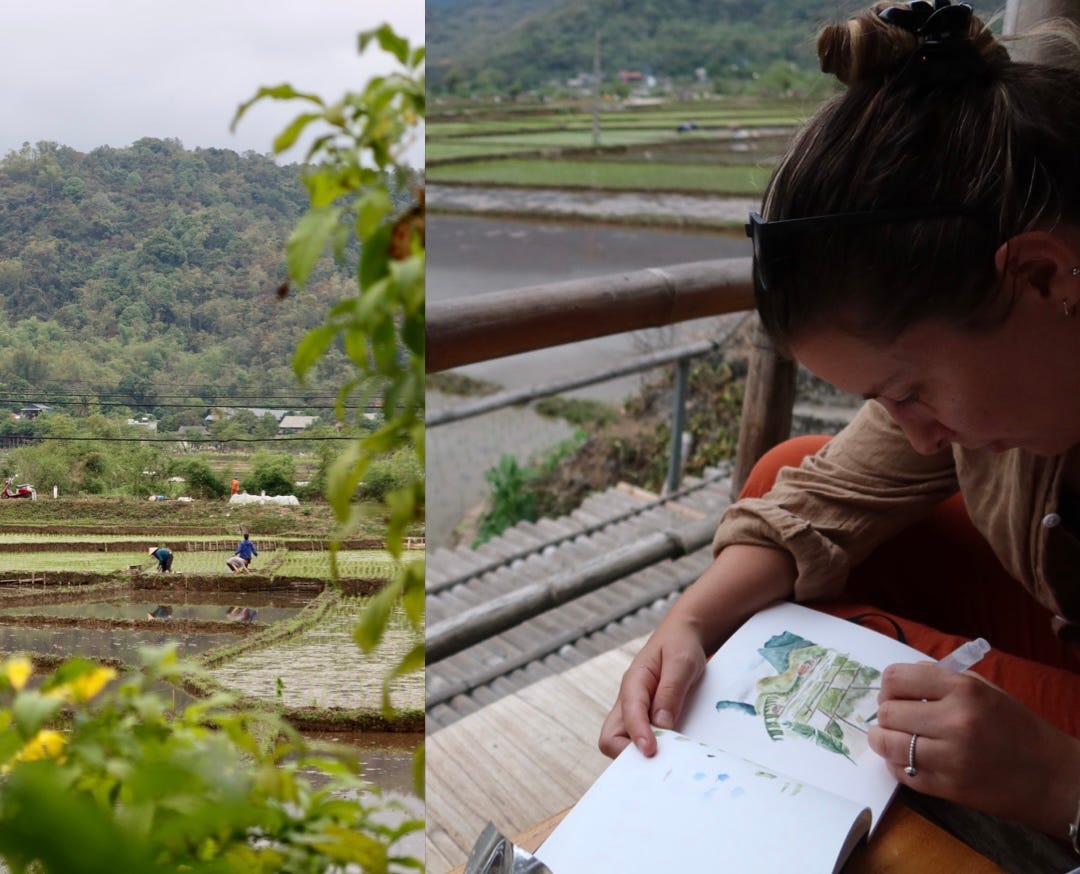 We were very fortunate to arrive right when rice planting was happening and watched the landscape transform each day from recently cultivated empty fields into lush and freshly planted green wonders ready for harvest later in the year