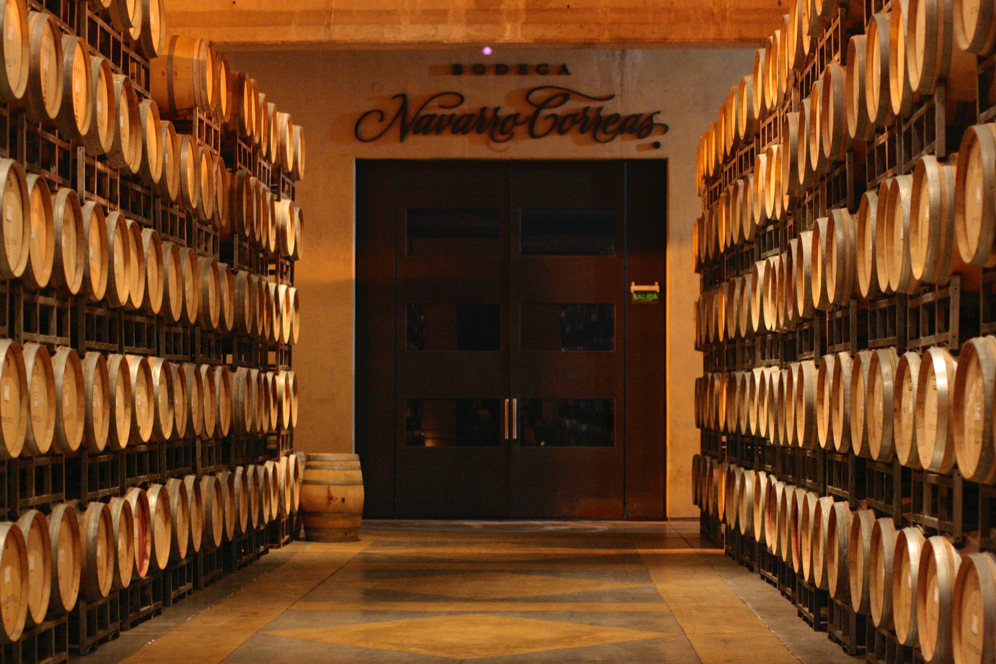 A fancy bodega just outside of Mendoza called ‘Navarro Correas’